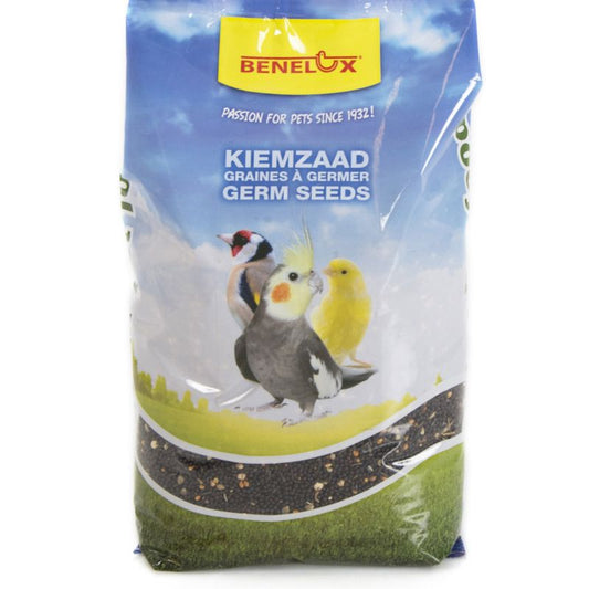 Benelux Kiemzaad 1 kg