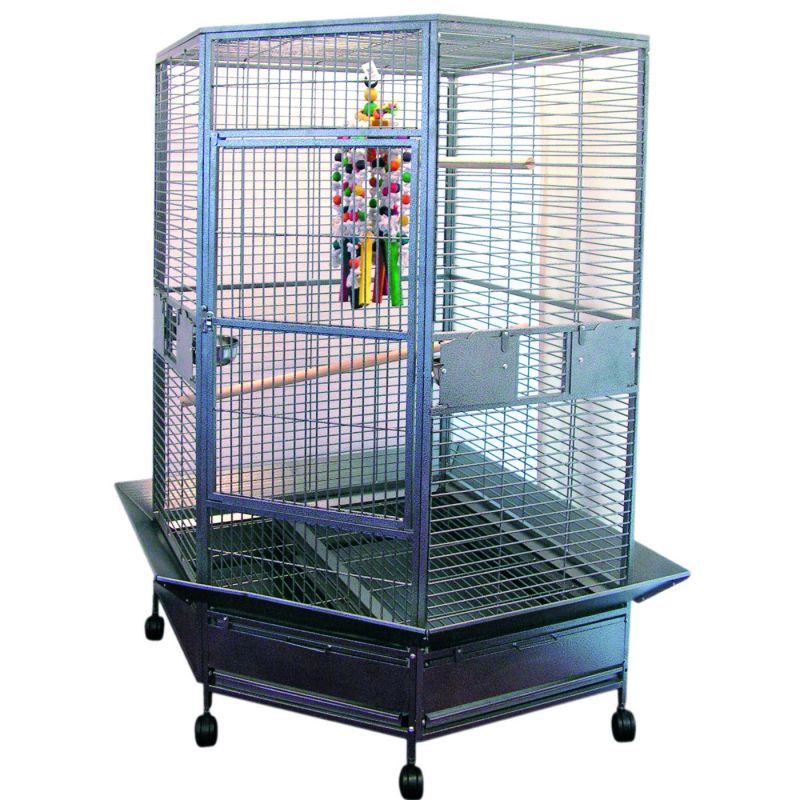 Papegaaikooi Dahlia – Hamerslag Grijs (3 Delen)