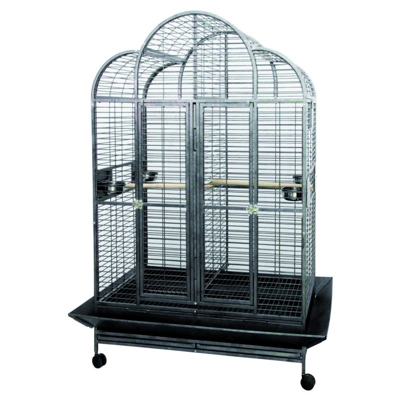 Papegaaikooi Jolanda – Hamerslag Grijs