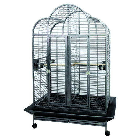 Papegaaikooi Jolanda – Hamerslag Grijs