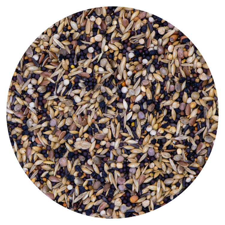 Vaesen Europese Vogels 44nr 20 kg