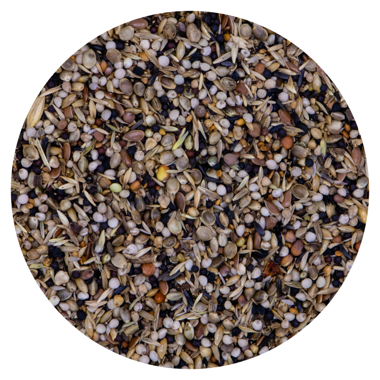 Vaesen Sijzen & Distelvinken 200 – 15 kg