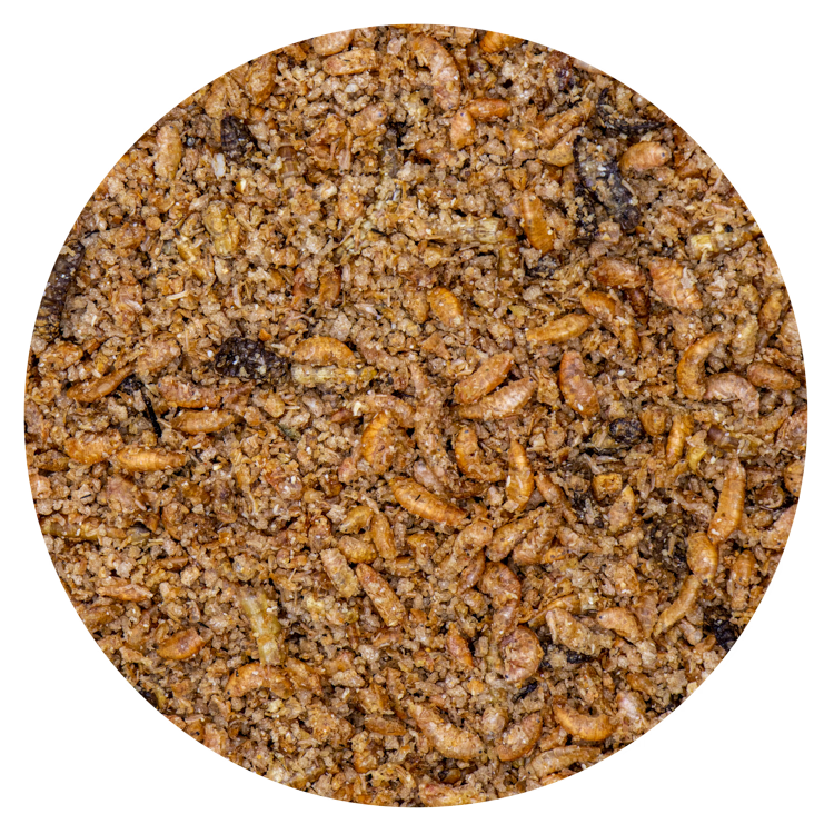 AviMax Forte Insect Patee Premium +Spirulina