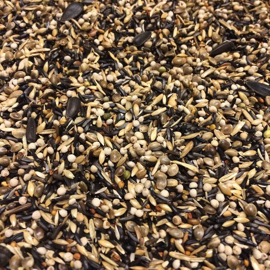 OBIE 15.6 Putter Speciaal