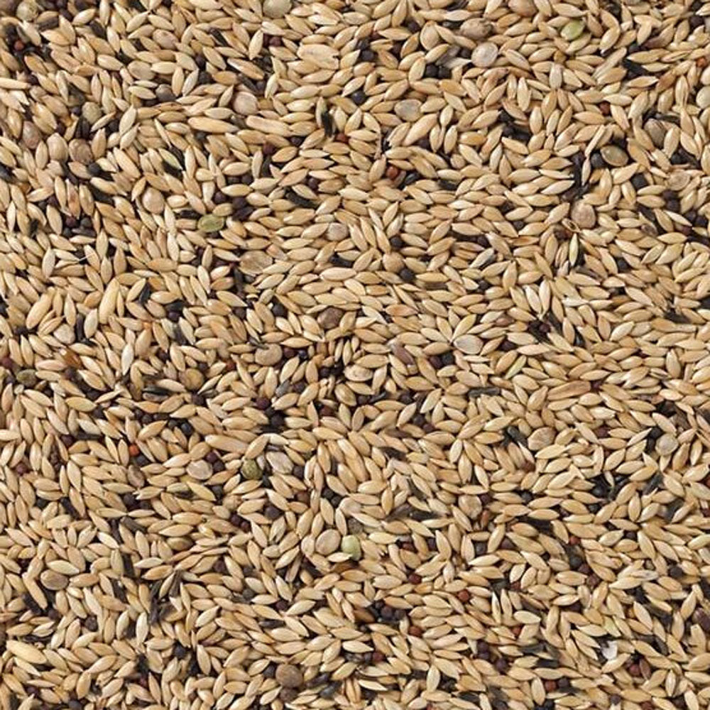 Deli Nature – Kanarie Light Nr. 65 20kg
