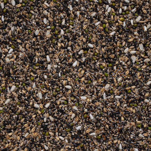 Deli Nature 38 - Kiemzaad Europese Vogels Suprème