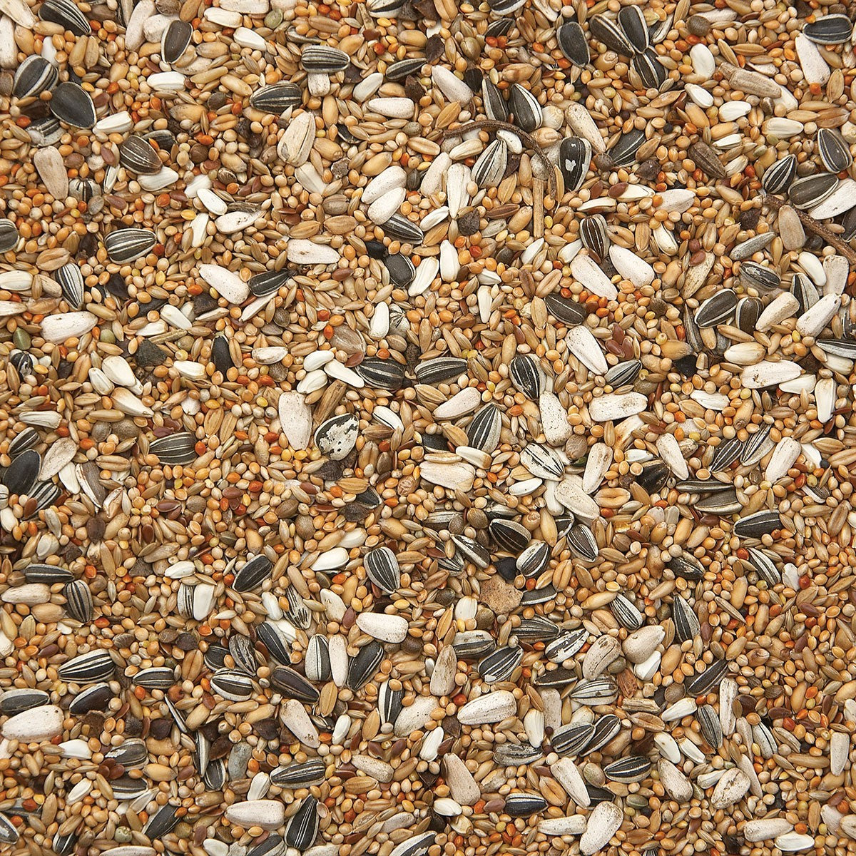 Bird Supreme Grote parkieten basis