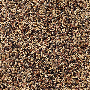 Deli Nature 48 Sijsjes & Distelvinken