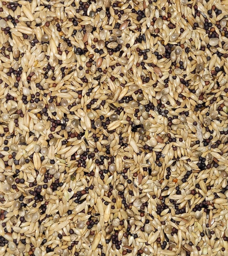 Kanarie met Raapzaad PALOMA 20kg