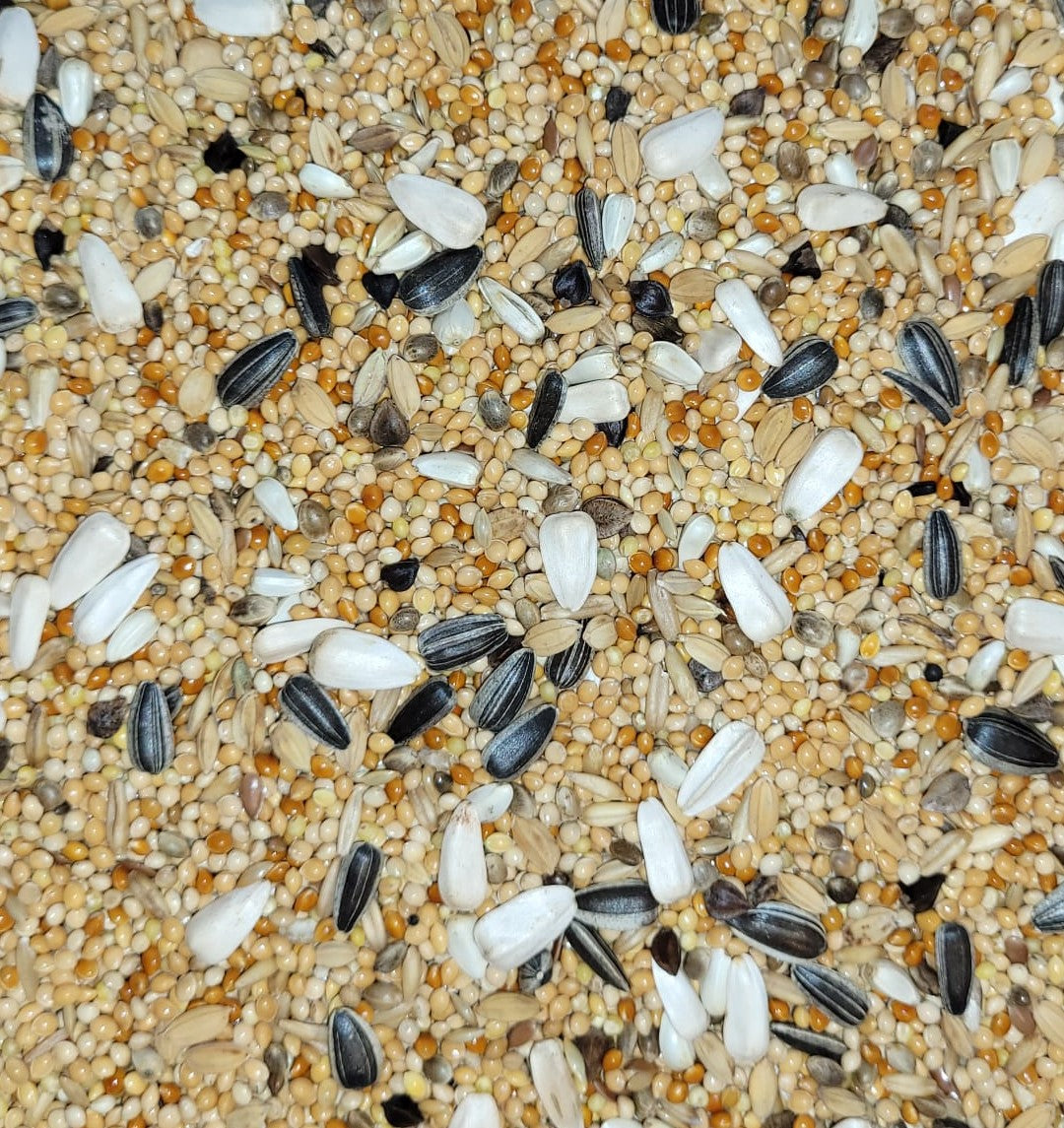 Grote Parkiet Promo-Line PALOMA 20kg