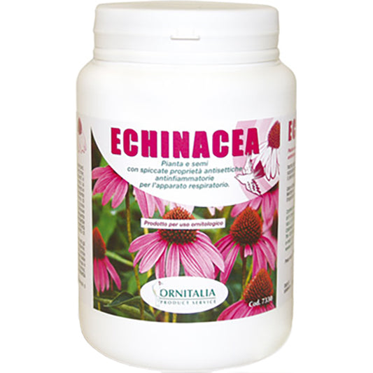 Ornitalia  ECHINACEA PURPUREA