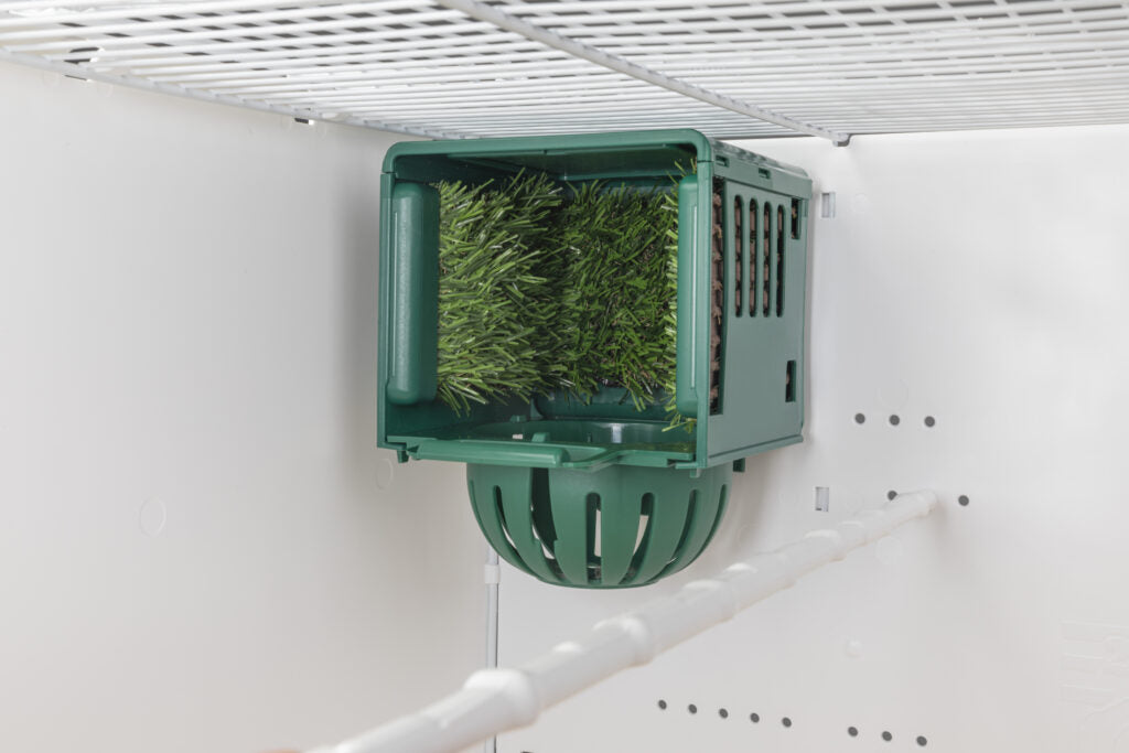 2GR Nestkastje Dream 10 cm