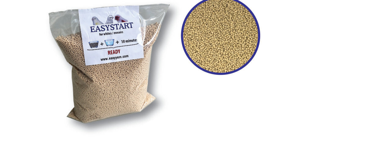 Easyyem Easystart Mosaic