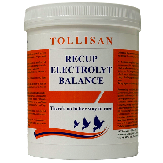 TOLLISAN Recup Electrolyt Balance