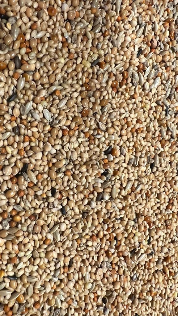 Tropisch zaad Birdshop Eindhoven