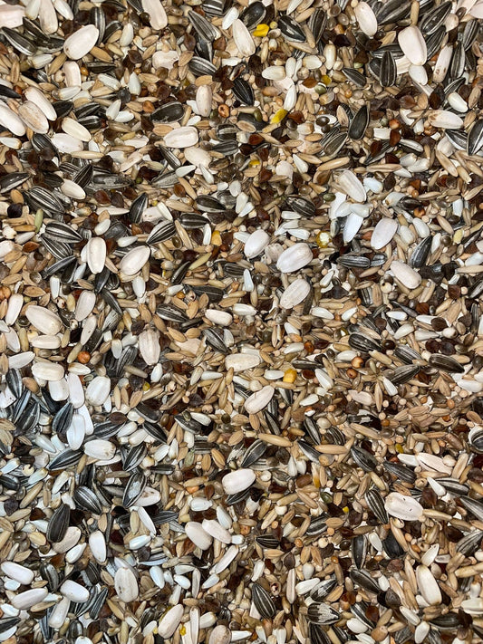 OBIE 1 Papegaai Basis