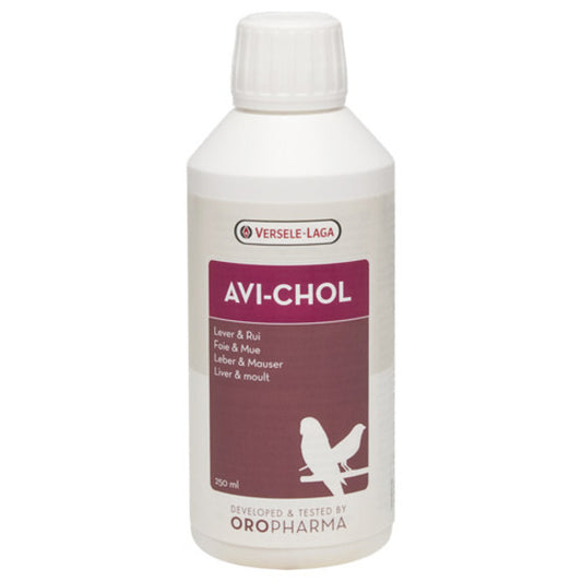 Versele-Laga Avi-Chol