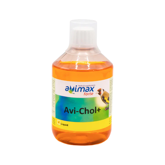 AviMax Forte Avi-Chol 250 ml