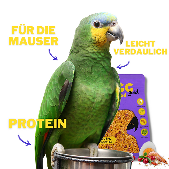 Your Parrot Egg food gold soft