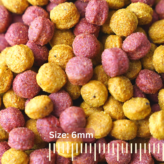 Your Parrot Vital Pellets - Fruit & Vegetable Blend