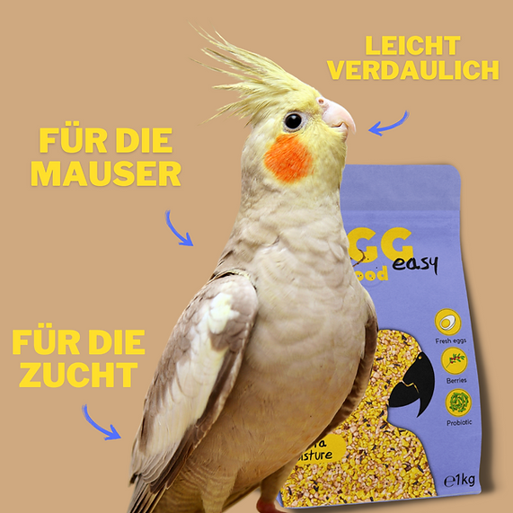 Your Parrot Egg food easy soft
