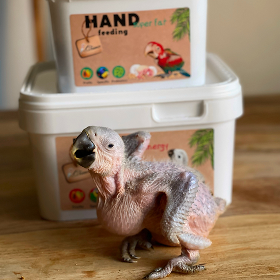 Your Parrot Handopfokvoeding Super Fat