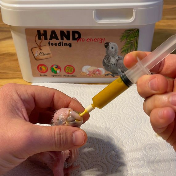 Your Parrot Handopfokvoer Pro Energy