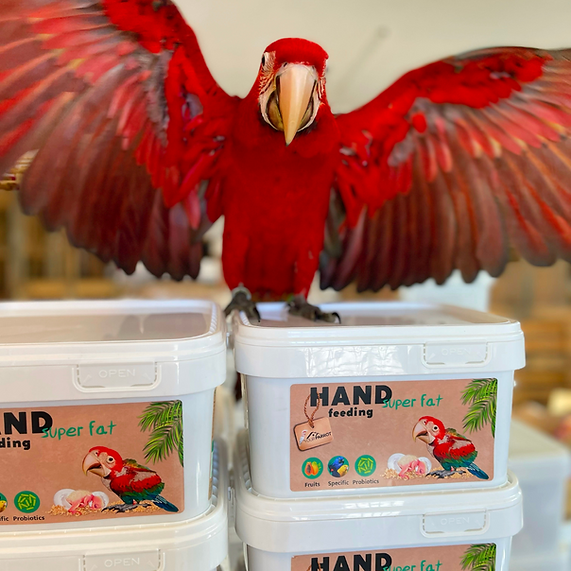 Your Parrot Handopfokvoeding Super Fat