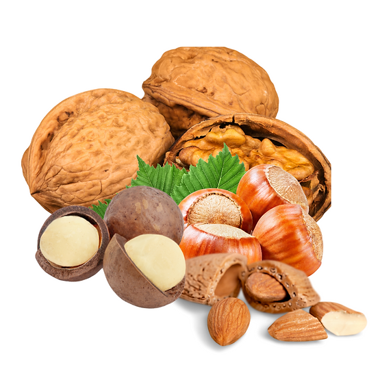 Your Parrot Wild nuts in shell