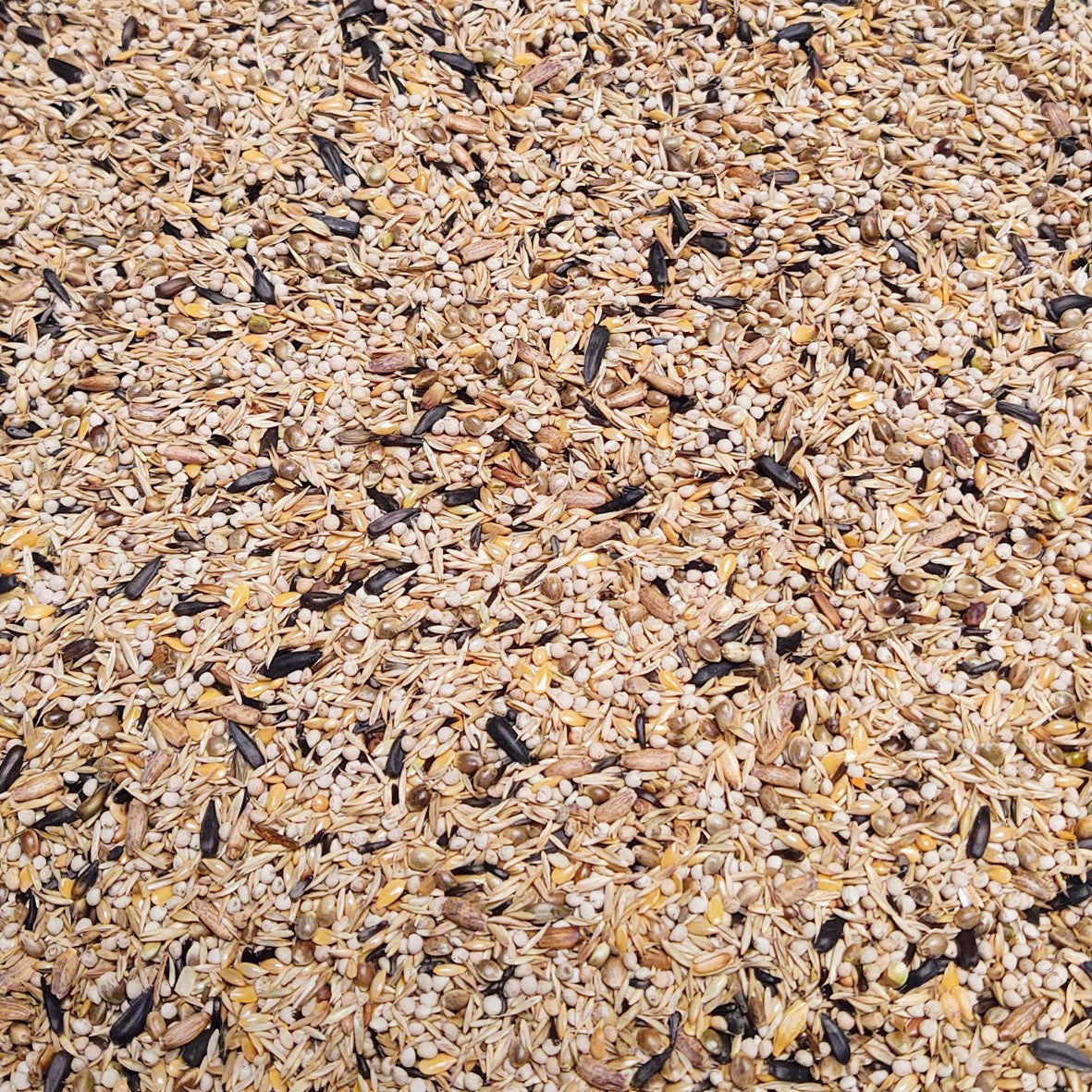 Bir Supreme Carduelis Excellent