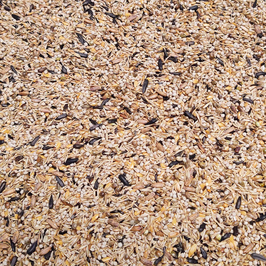 Bir Supreme Carduelis Excellent