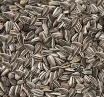 Deli Nature Premium Gestreepte Zonnepitten 2,5KG