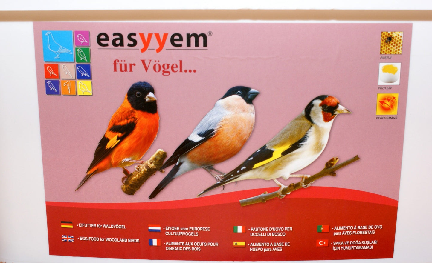 Easyyem eivoer Wildzang