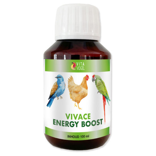 Vivace Energy Boost 100 ml