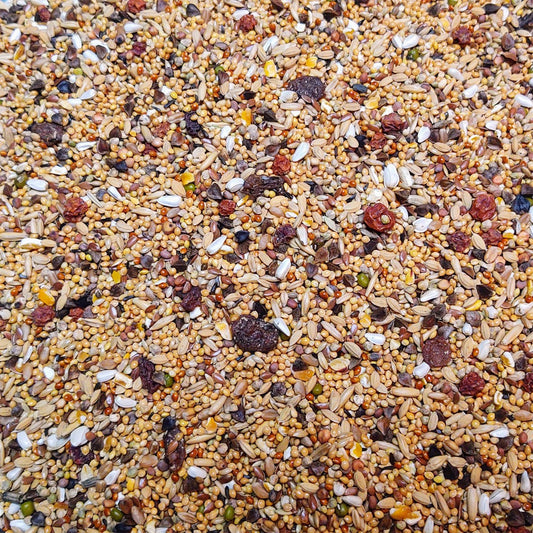 Bird Supreme Grote parkieten Excellent