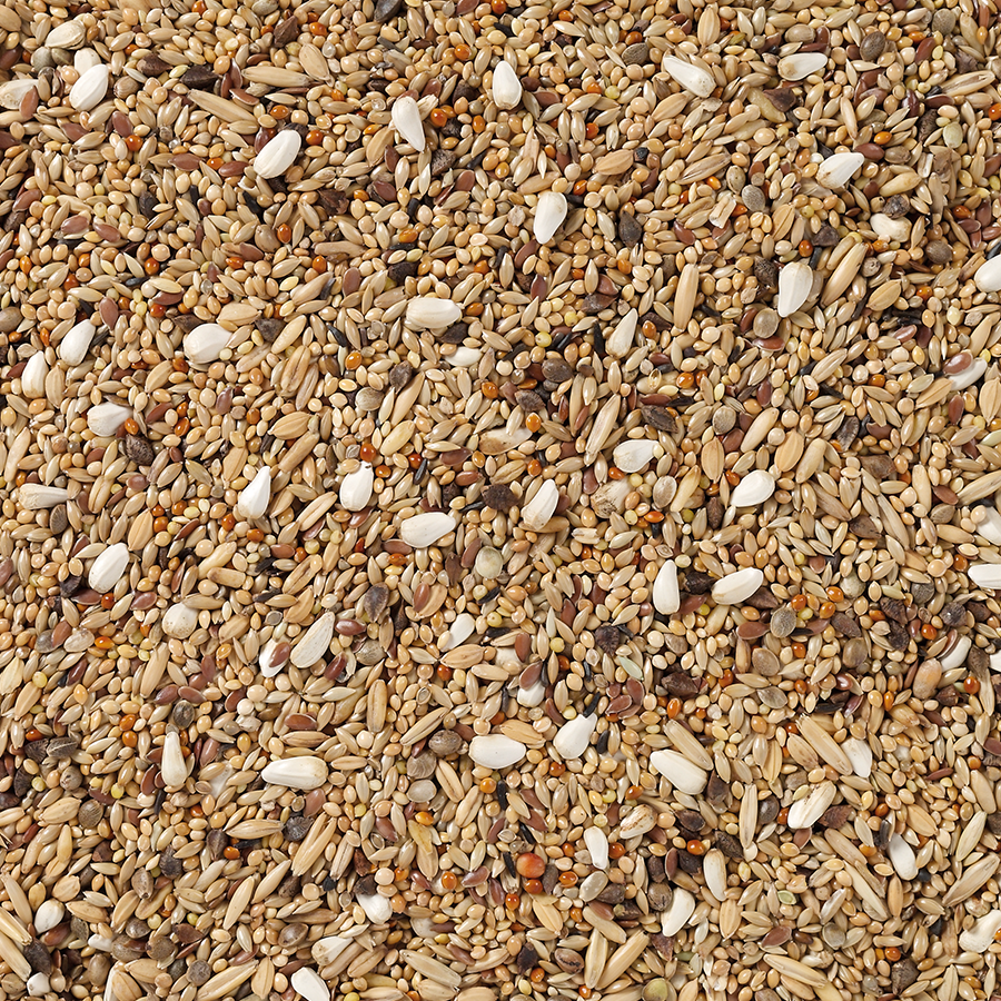 DELI NATURE 68 - Grote Parkieten zonder Zonnepitten