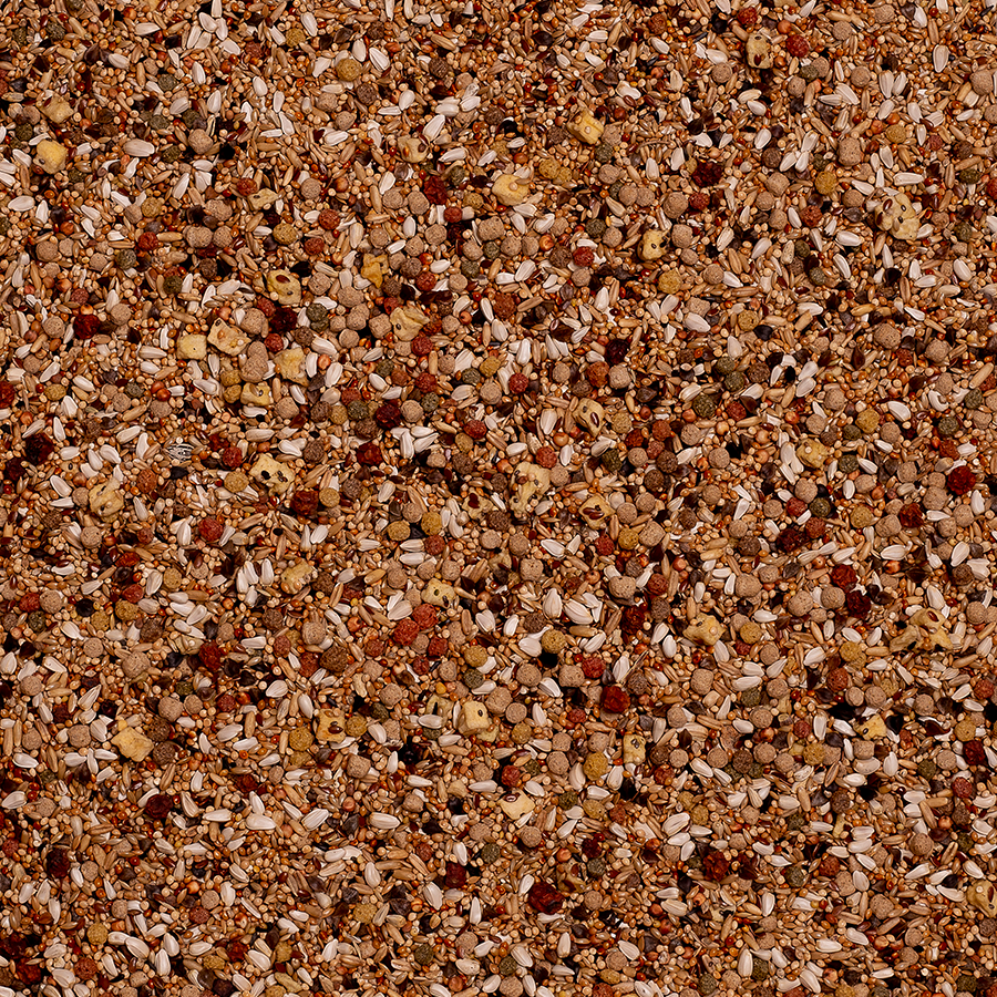 DELI NATURE Grote Parkieten Serengeti Birdelicious