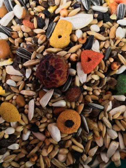 OBIE 8 Papegaai met pellets