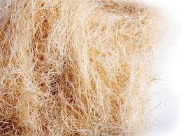 Sisal