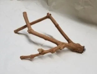 Java Multibranches XL