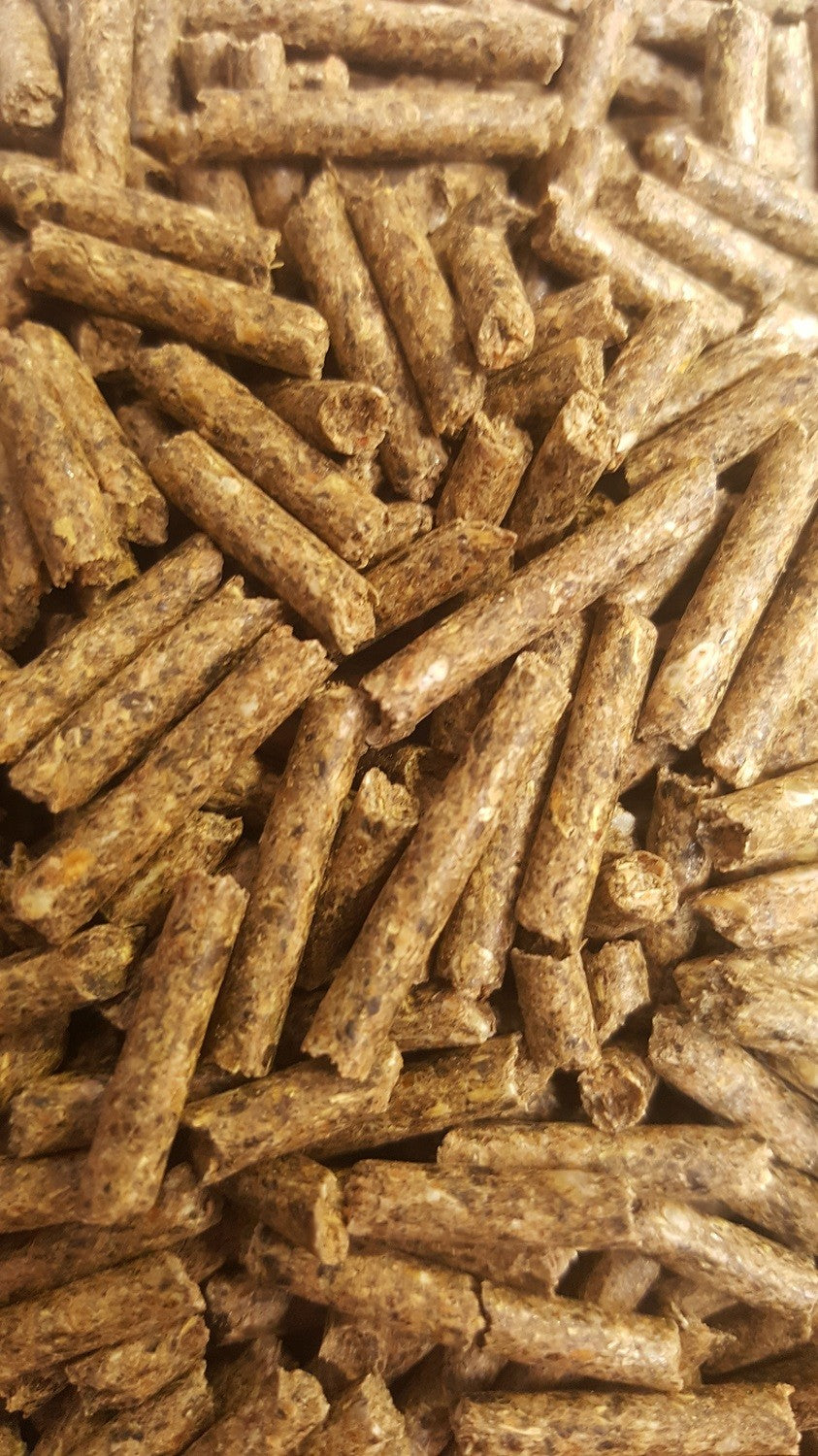 Konijnenkorrel