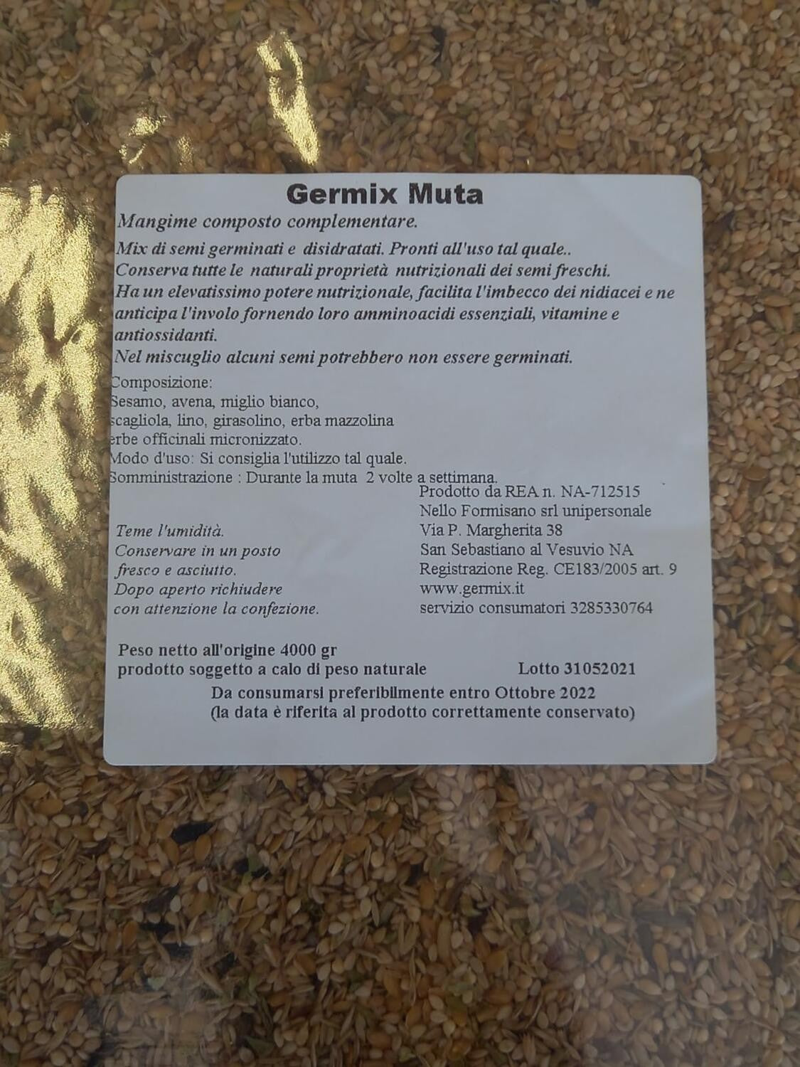 Germix Canary Muta