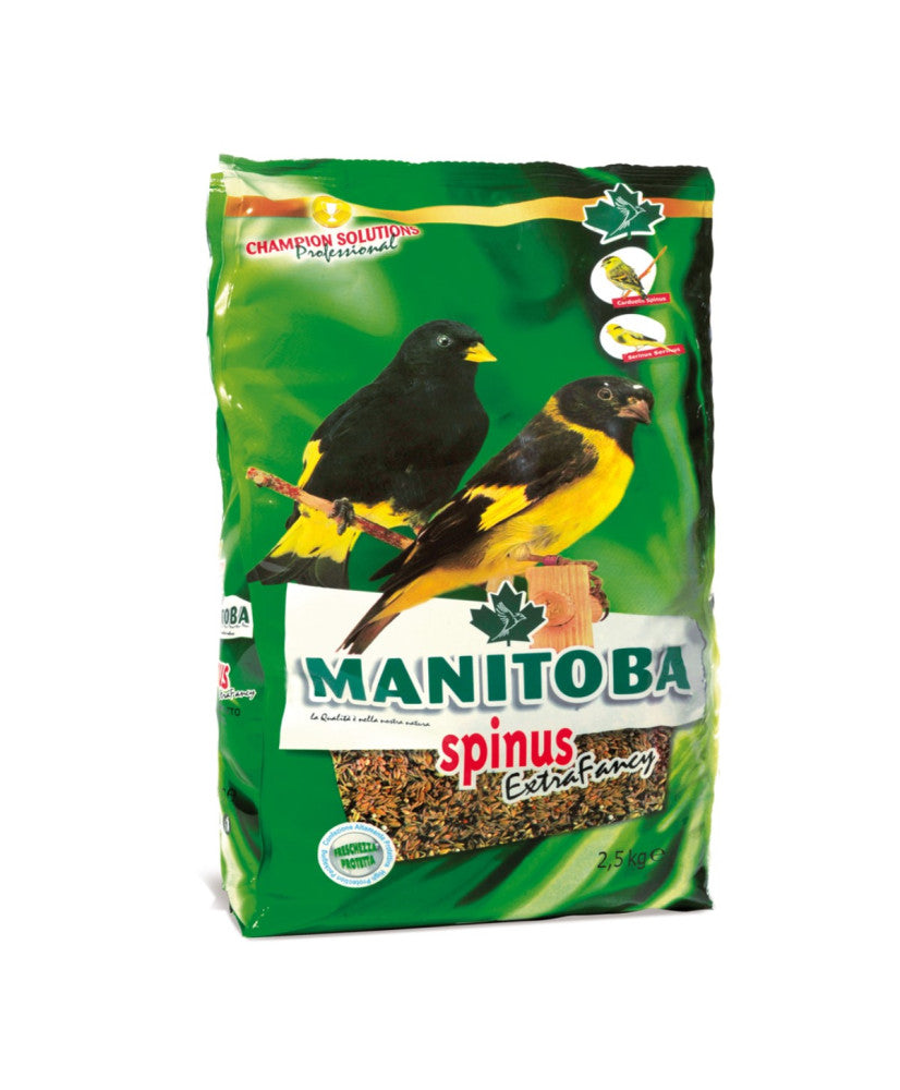 Manitoba Spinus extra fancy - Sijzen SISKIN