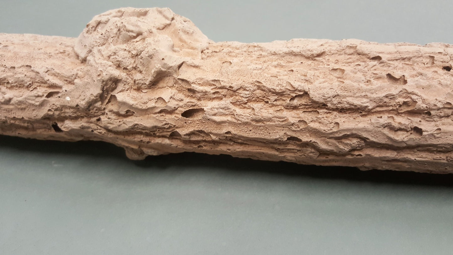 Nagelslijtstok Papegaai