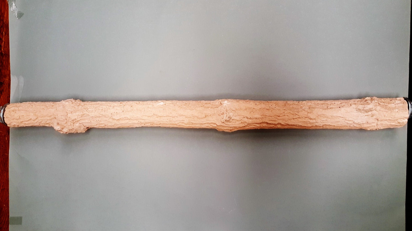 Nagelslijtstok Papegaai