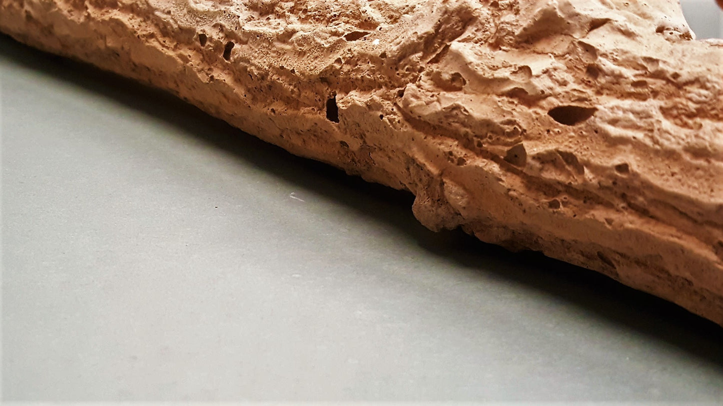 Nagelslijtstok Papegaai