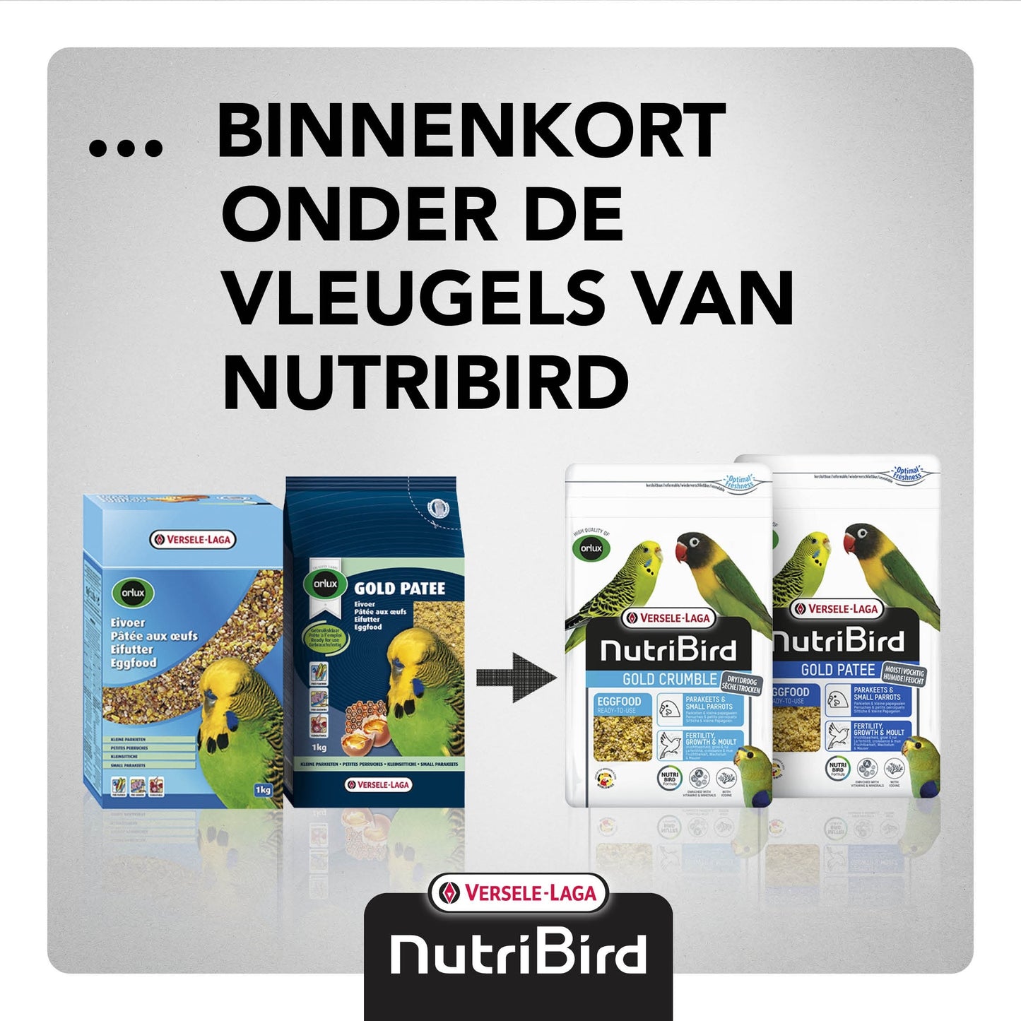 Orlux Gold Patee Parkiet – 250 gram