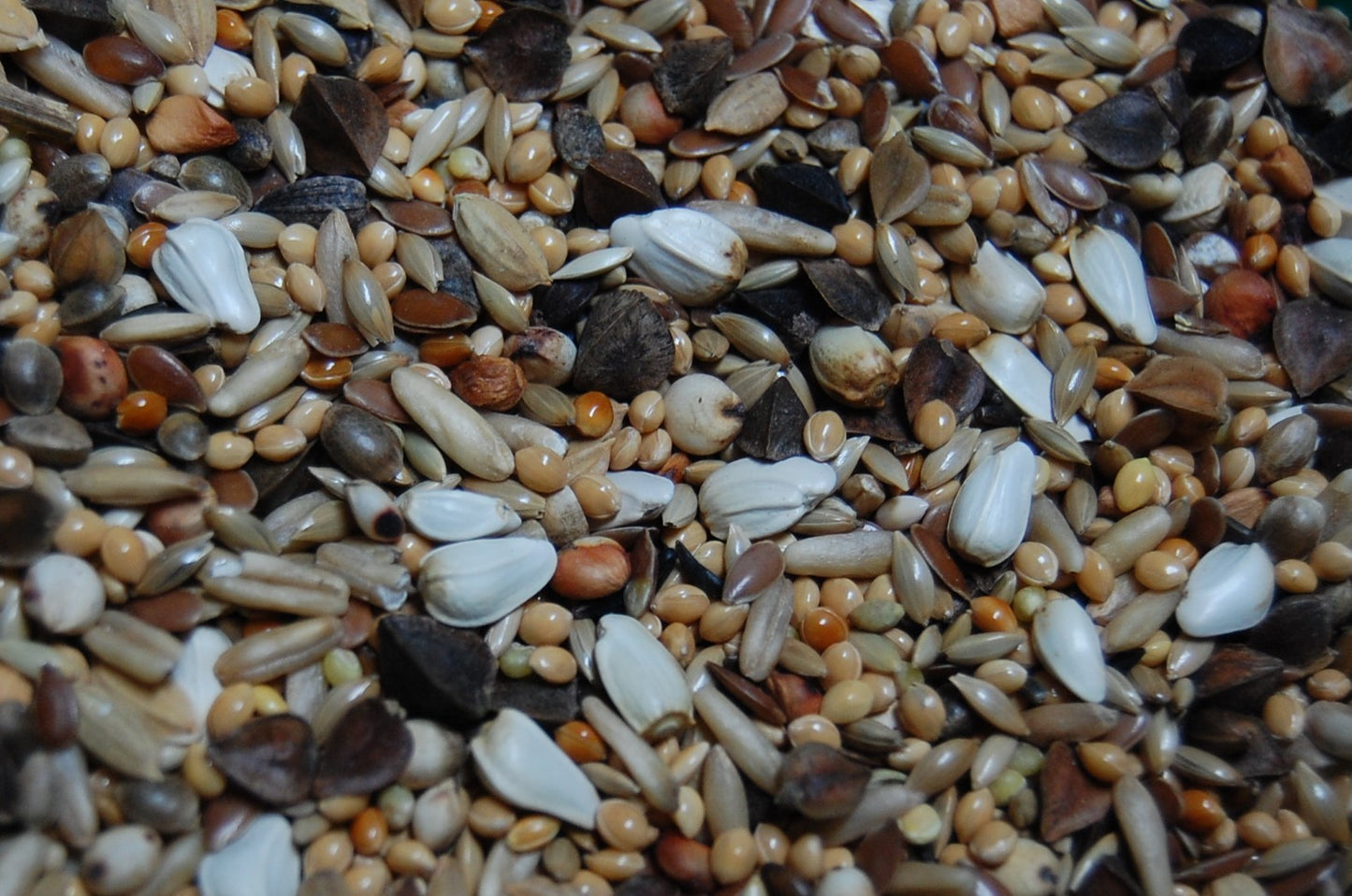 OBIE 10 Agapornidezaad Speciaal