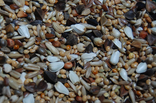 OBIE 10 Agapornidezaad Speciaal