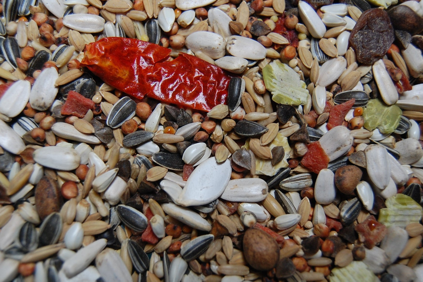 OBIE 11.6 Papegaaienzaad premium